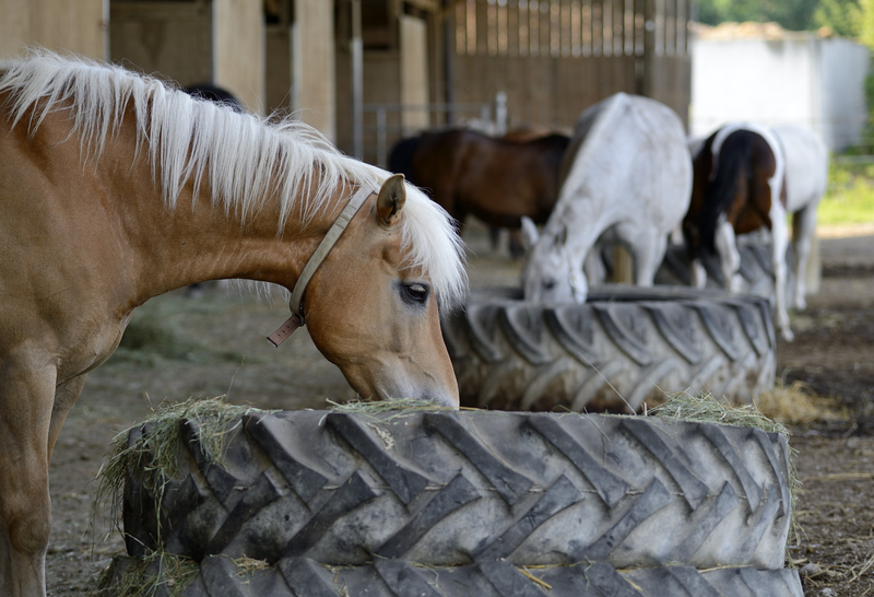 Rubbish removal Waste removal